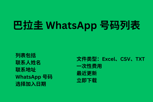 巴拉圭 WhatsApp 号码列表