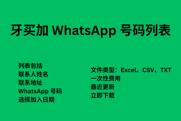 牙买加 WhatsApp 号码列表